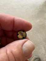 Navy button 2.webp
