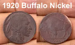 Buffalo Gimp.webp