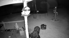 IMG_5963.webp