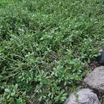 20250712_054951.webp