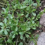 20250712_055011.webp