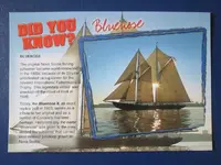 bluenose1.webp bluenose1.webp