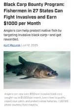 Screenshot_20250714-064214.webp