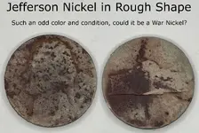 unidentified nickel gimp.webp