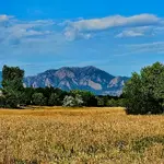 20250714_082014.webp