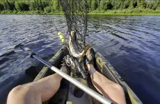 Trip 4.webp