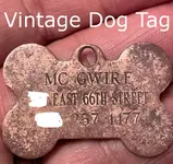 dog tag gimp.webp