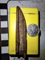 bone awl-1.webp