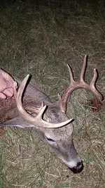 10pt.webp