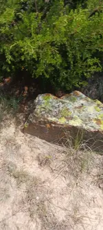 20240730_140454.webp