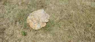20240730_142257.webp