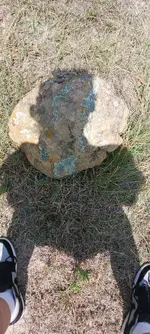 20240730_142359.webp