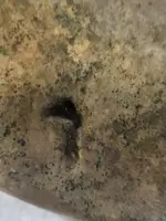 20250718_093547.webp