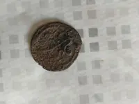 coin 2.webp