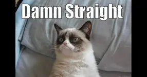 meaning-of-English-phrase-damn-straight-fb.webp