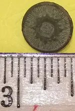Sunburst button front.webp