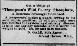 Grand_Haven_Tribune_1891_11_03_4.webp