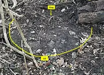 Old well.webp