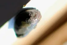 _MG_9209.webp