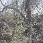 20250731_085432.webp