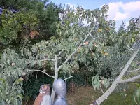 IMG_20250805_182927123_HDR.webp