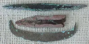 CC0004.webp