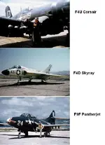 1x.webp
