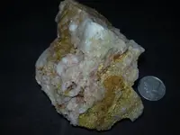 DSCN1173.webp