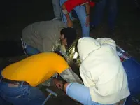 S3012574.webp