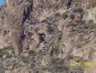 100_0580.webp
