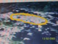 u shape definement and ball cort 002.webp
