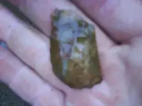 Stained Attica chert flake.webp