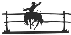 bronc.webp