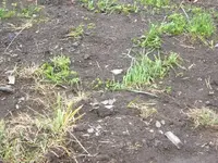 DSCF1752.webp