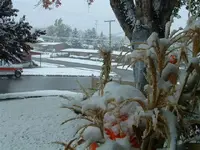 10-12-08 001.webp