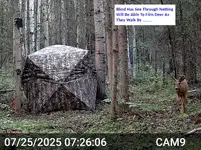 See Through Blind.webp
