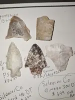 todays finds.webp