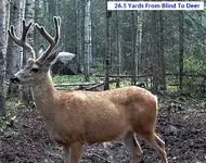 Perfect Shot 2 Split.webp