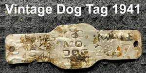 dog tag 1941 gimp.webp