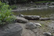 1755031149155.webp 1755031149155.webp
