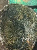 ORDINARY CHRONDITE A (11).webp