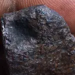 PALASITE A (2).webp