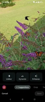 Screenshot_20250815-102815.Photos.webp