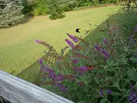 IMG_20250815_094140628.webp