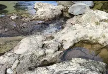 Capture+_2025-08-17-06-46-01-1.webp