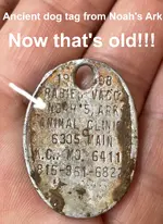 dog tag noah gimp.webp