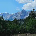 20250818_111438.webp