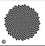 Screenshot_20250819-094457.Google~2.webp