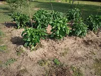 IMG_20250821_102151783.webp