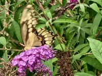 IMG_20250822_140902722.webp